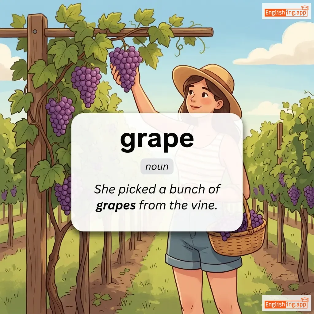 grape definition card — visual illustration of the meaning