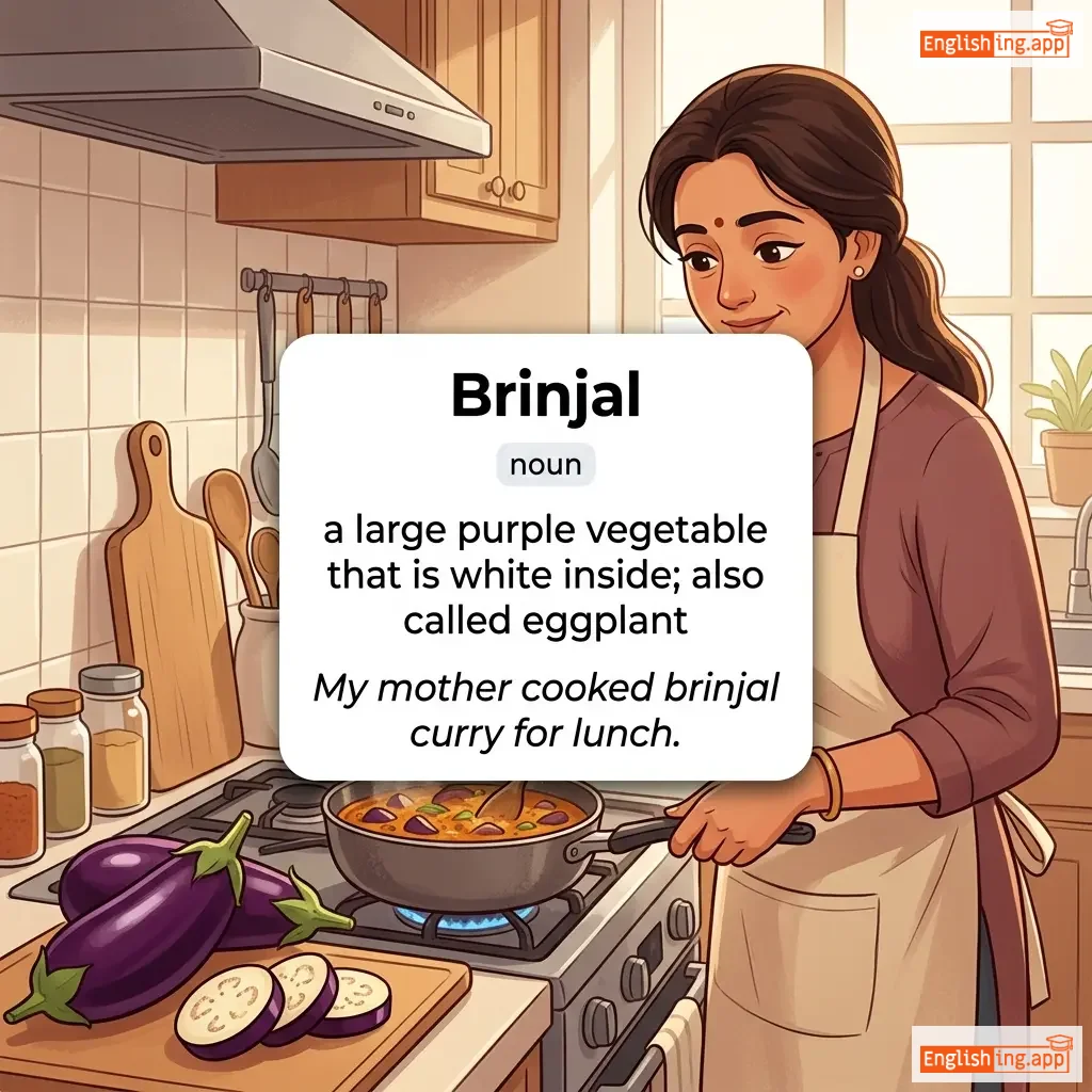 Brinjal definition card — visual illustration of the meaning