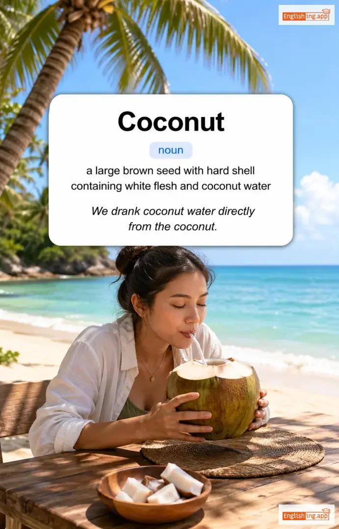 Coconut definition card — visual illustration of the meaning