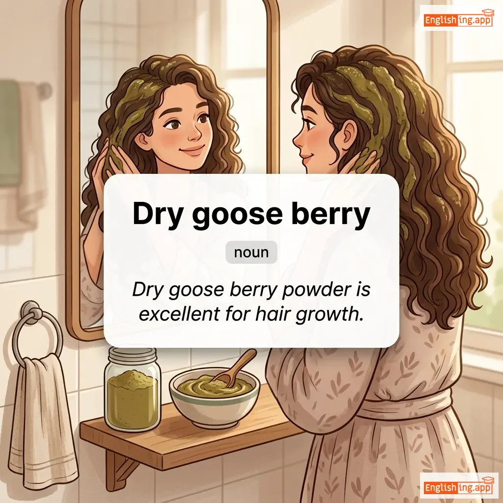 Dry goose berry definition card — visual illustration of the meaning