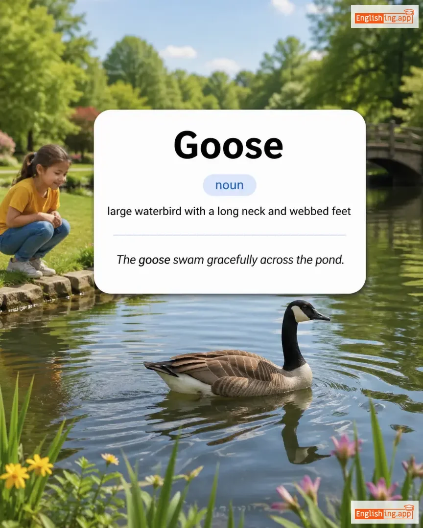 Goose definition card — visual illustration of the meaning