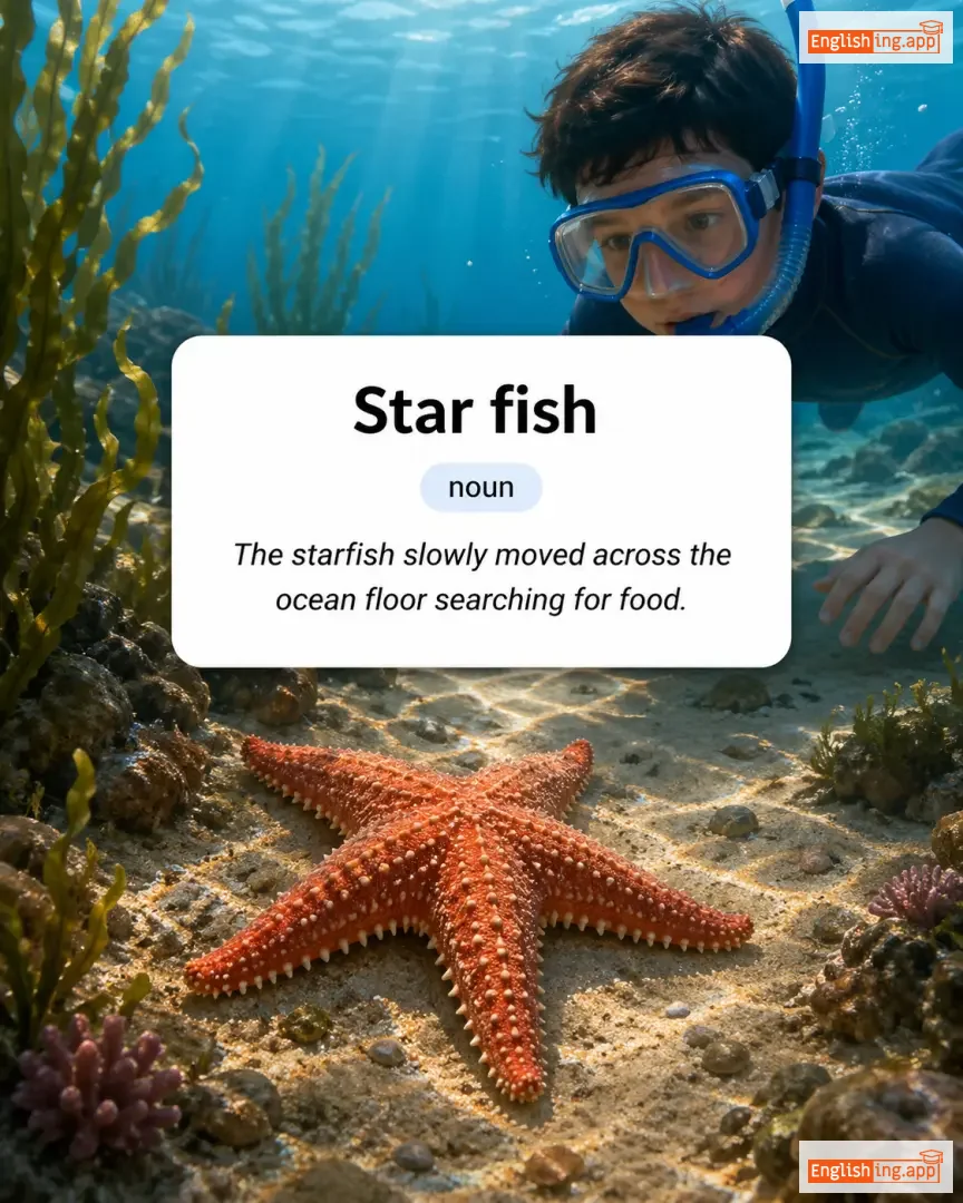 Star fish definition card — visual illustration of the meaning