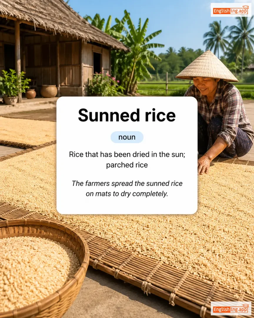 Sunned rice definition card — visual illustration of the meaning