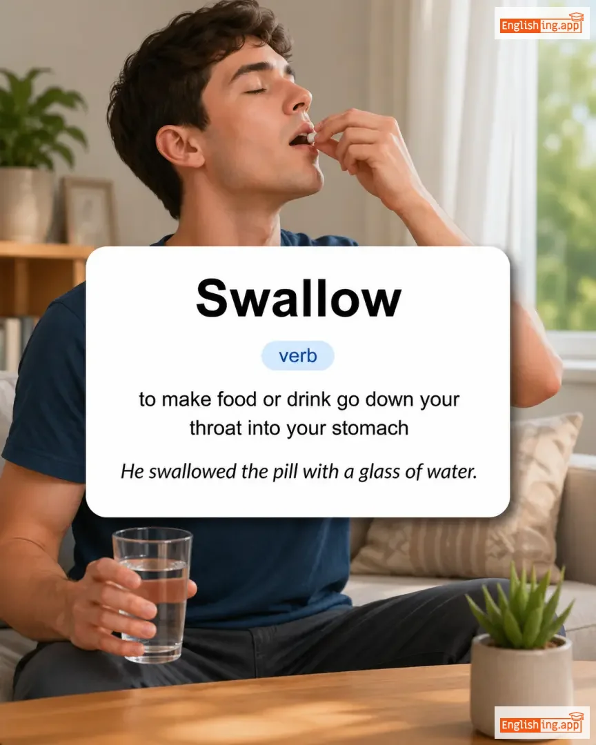 Swallow definition card — visual illustration of the meaning