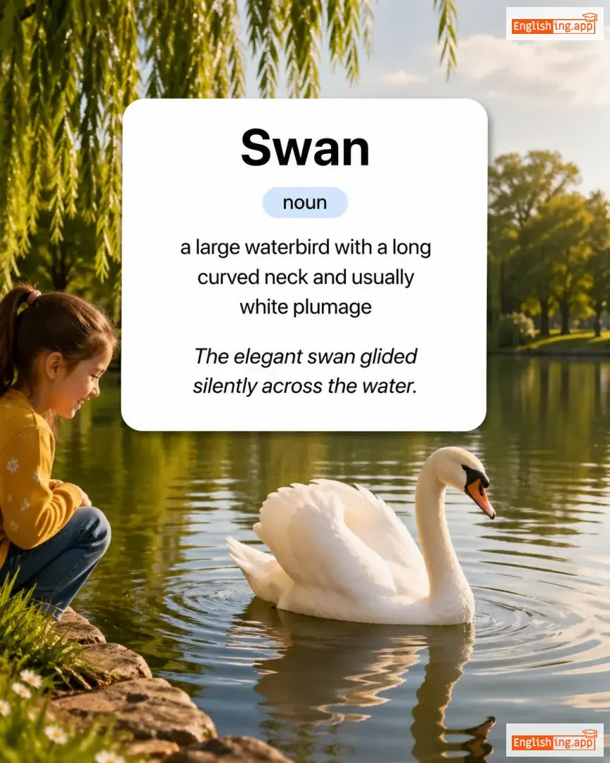 White definition card — visual illustration of the meaning
