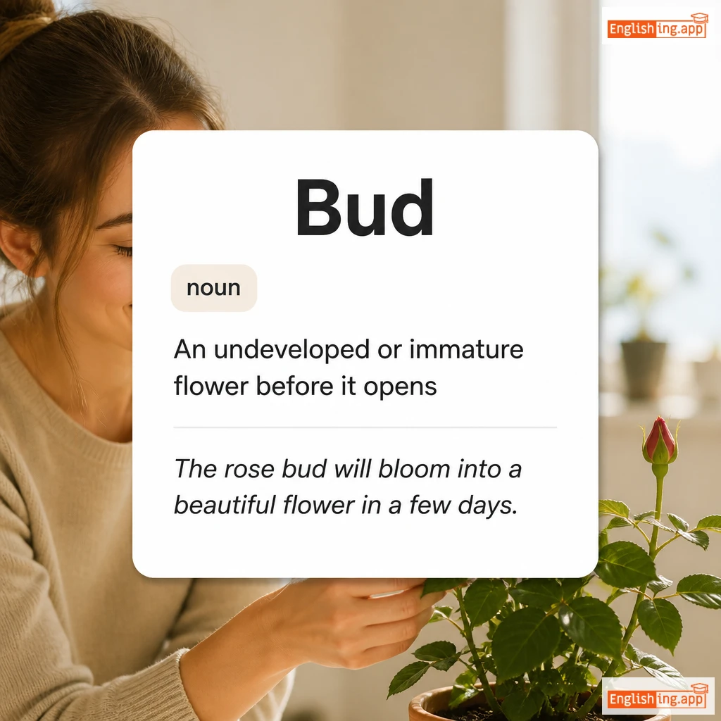 Bud definition card — visual illustration of the meaning