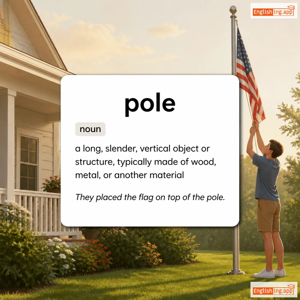 pole definition card — visual illustration of the meaning