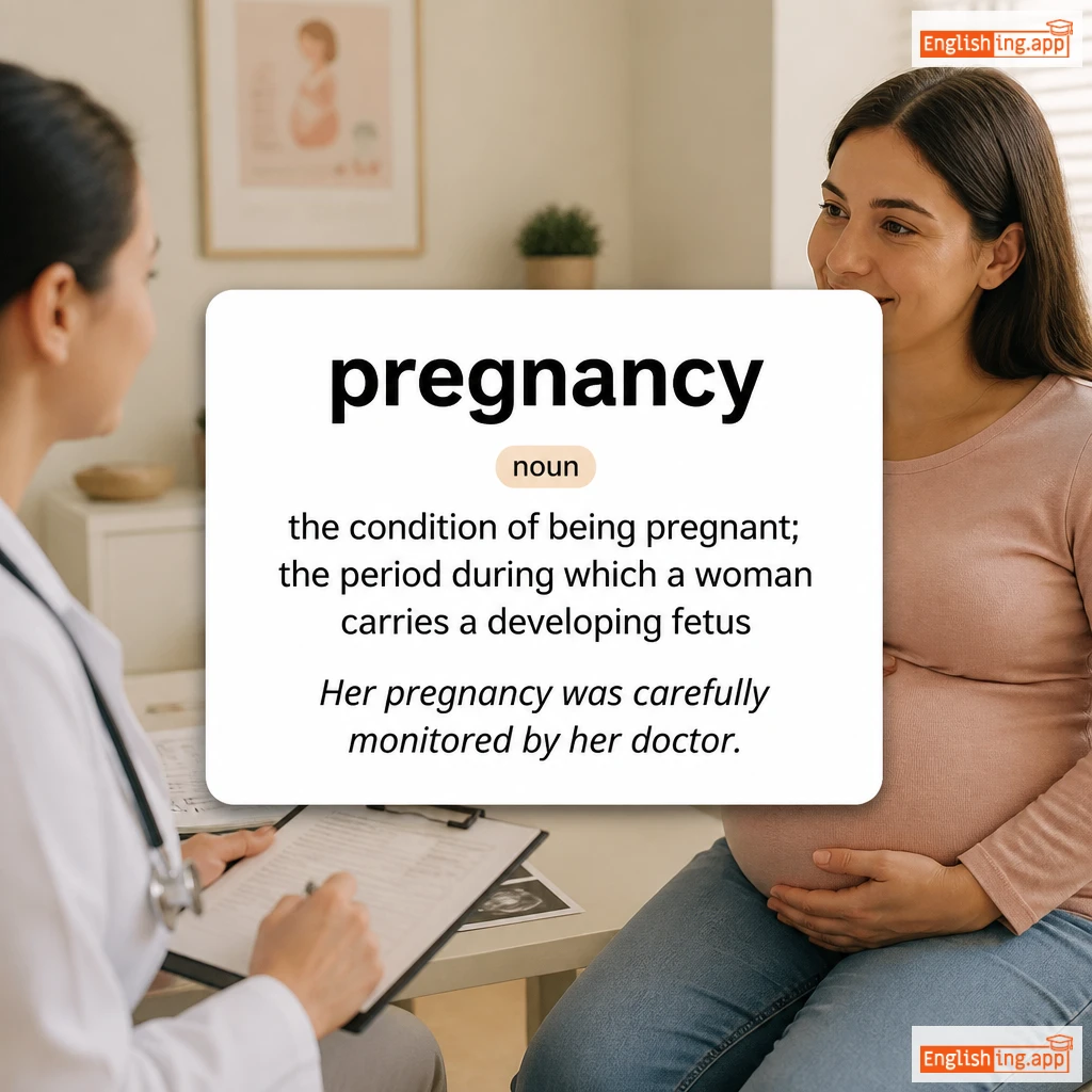pregnancy definition card — visual illustration of the meaning