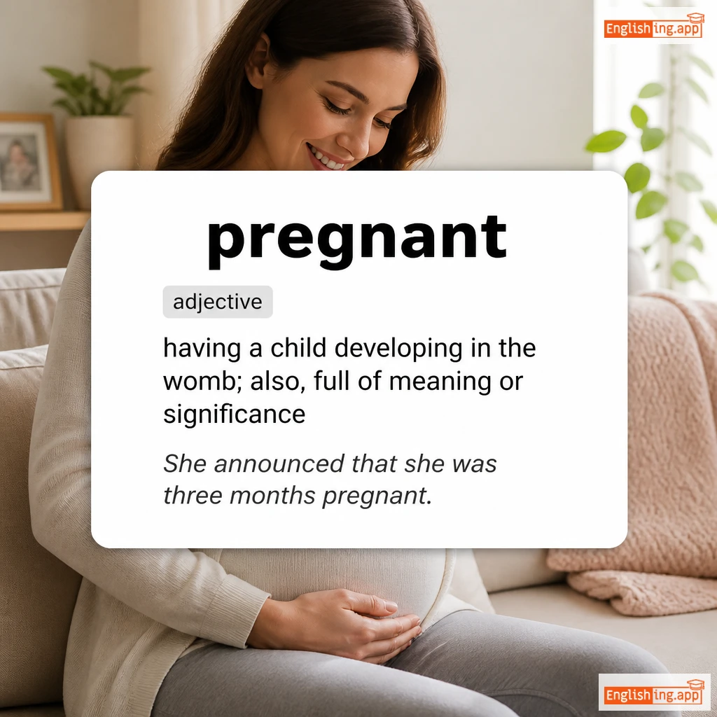 pregnant definition card — visual illustration of the meaning
