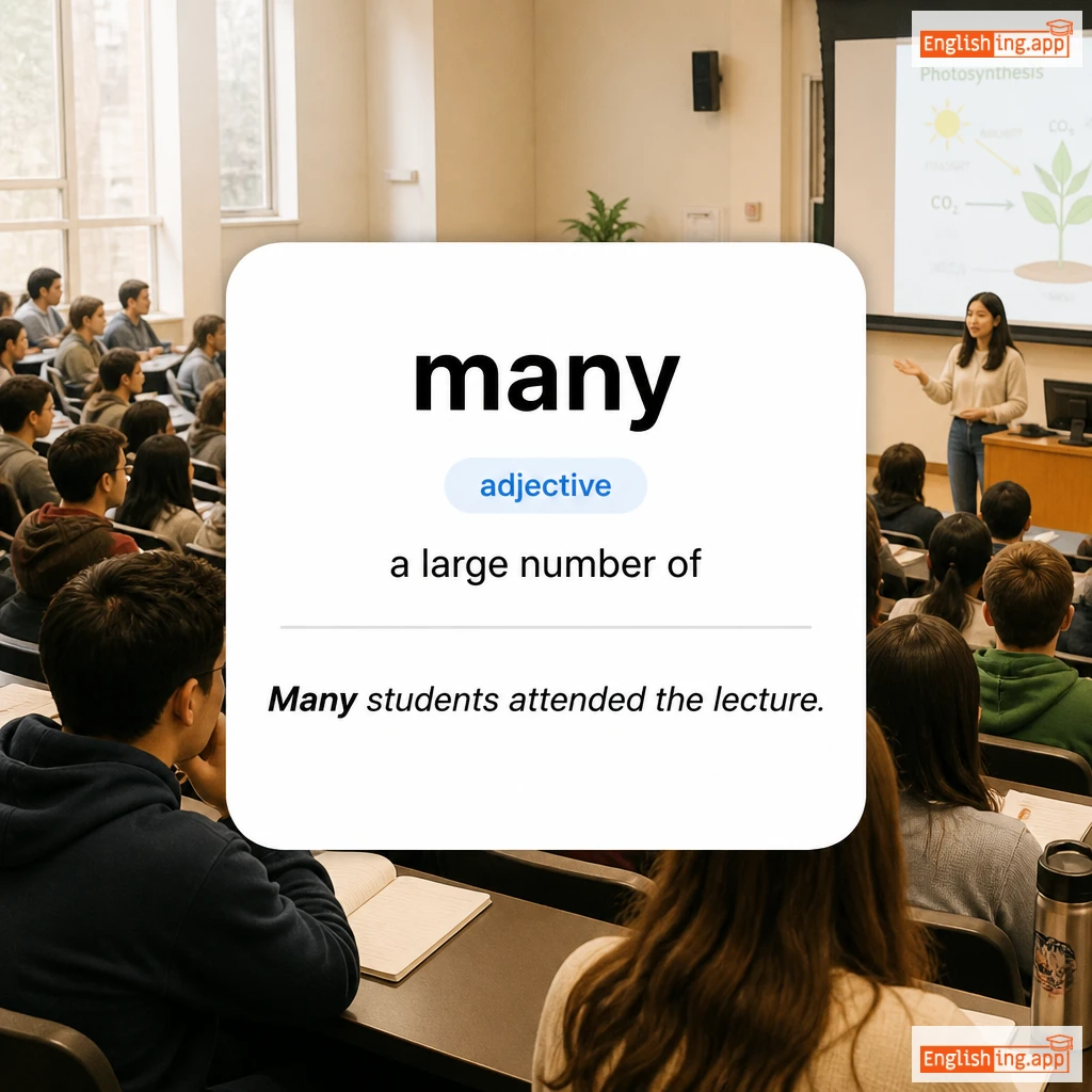 many definition card — visual illustration of the meaning