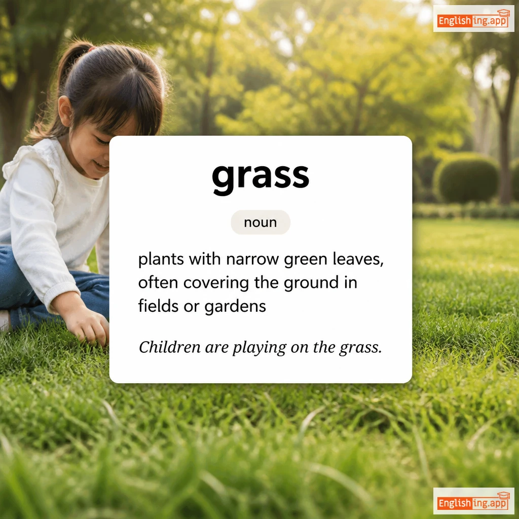 grass definition card — visual illustration of the meaning