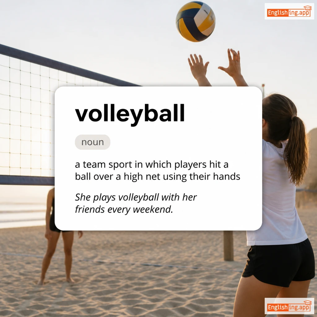 volleyball definition card — visual illustration of the meaning