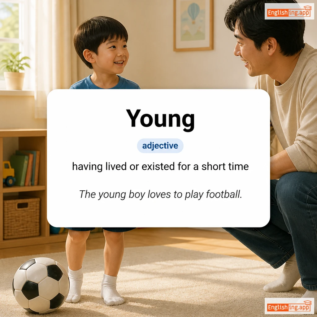 Young definition card — visual illustration of the meaning