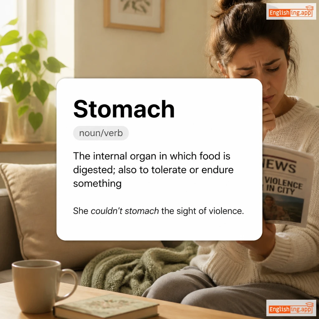 Stomach definition card — visual illustration of the meaning