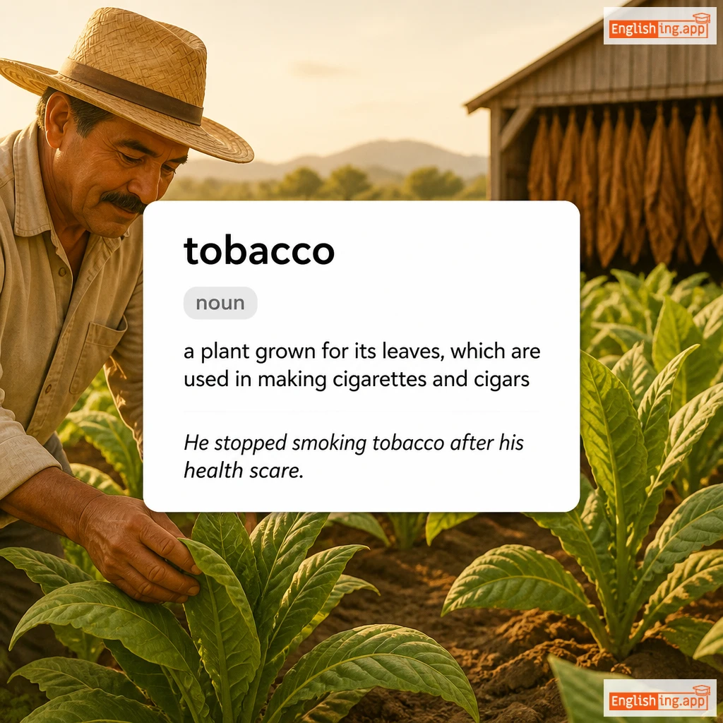 tobacco definition card — visual illustration of the meaning