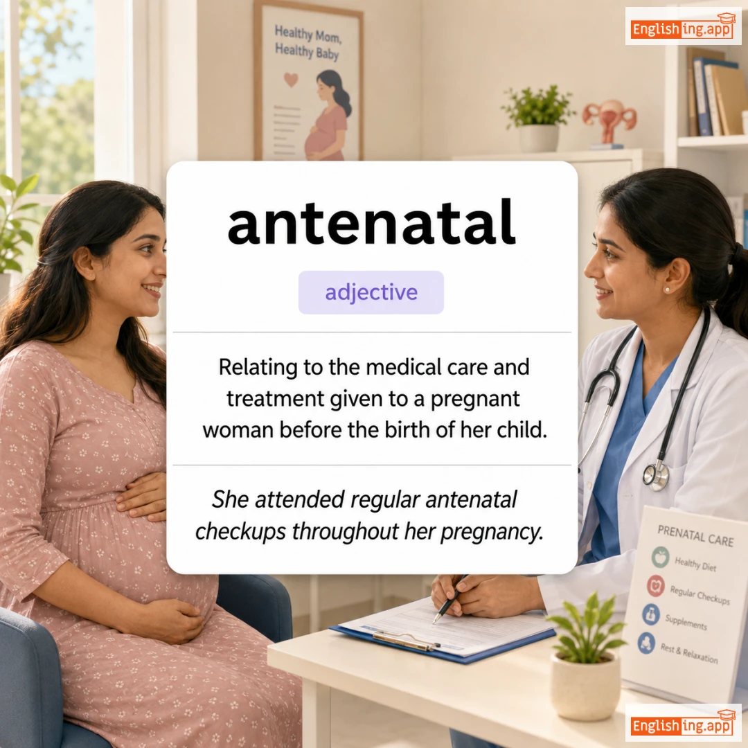 antenatal definition card — visual illustration of the meaning