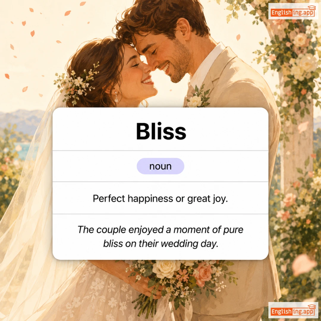 Bliss definition card — visual illustration of the meaning