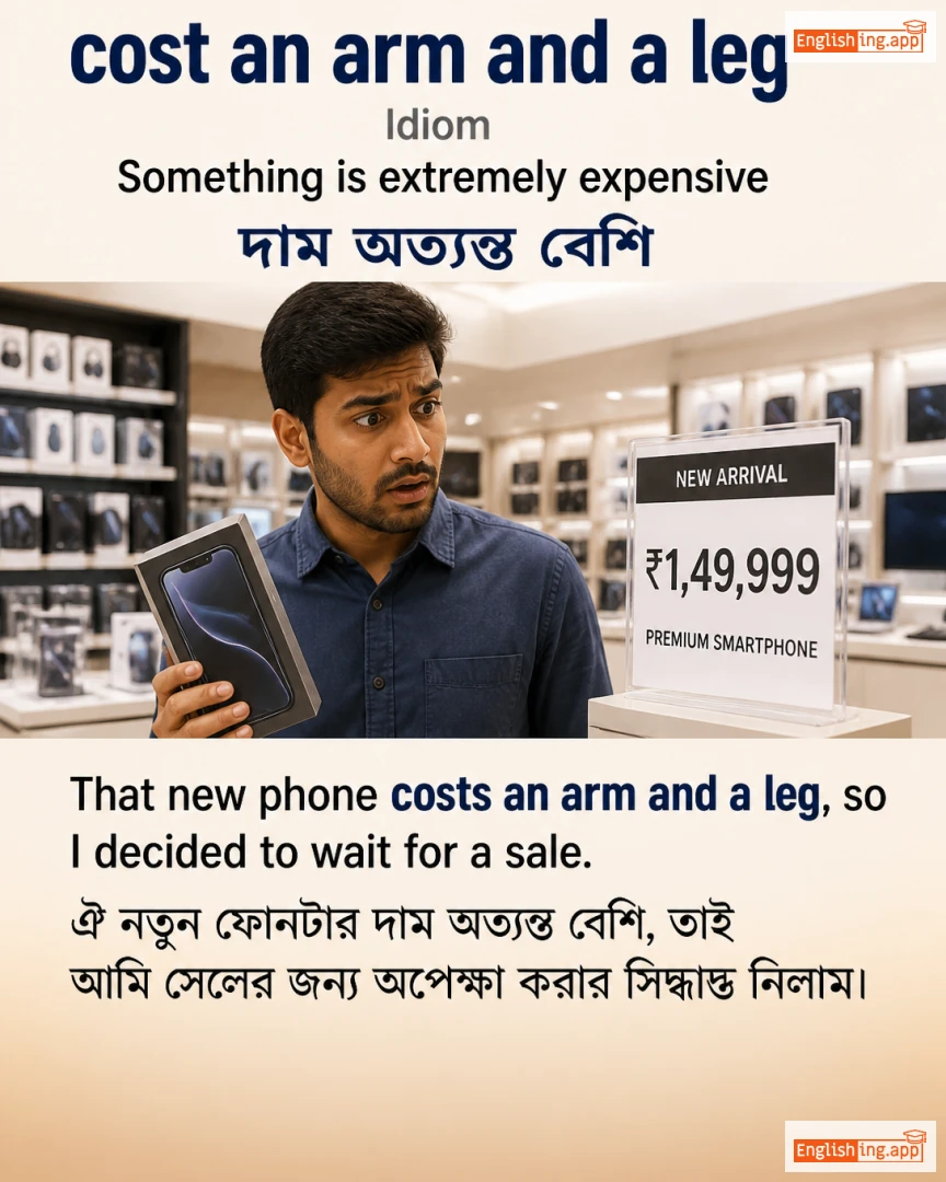 Cost An Arm And A Leg: English expression meaning and example