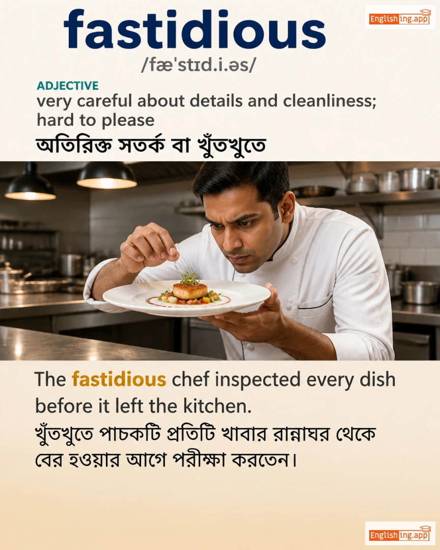 Fastidious: English vocabulary meaning and example