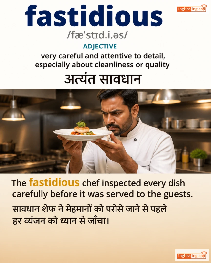 Fastidious: English vocabulary meaning and example