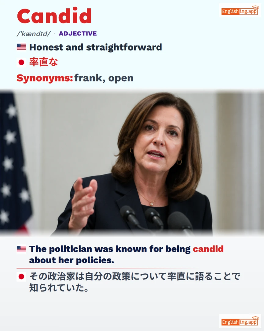 Candid: English vocabulary meaning and example