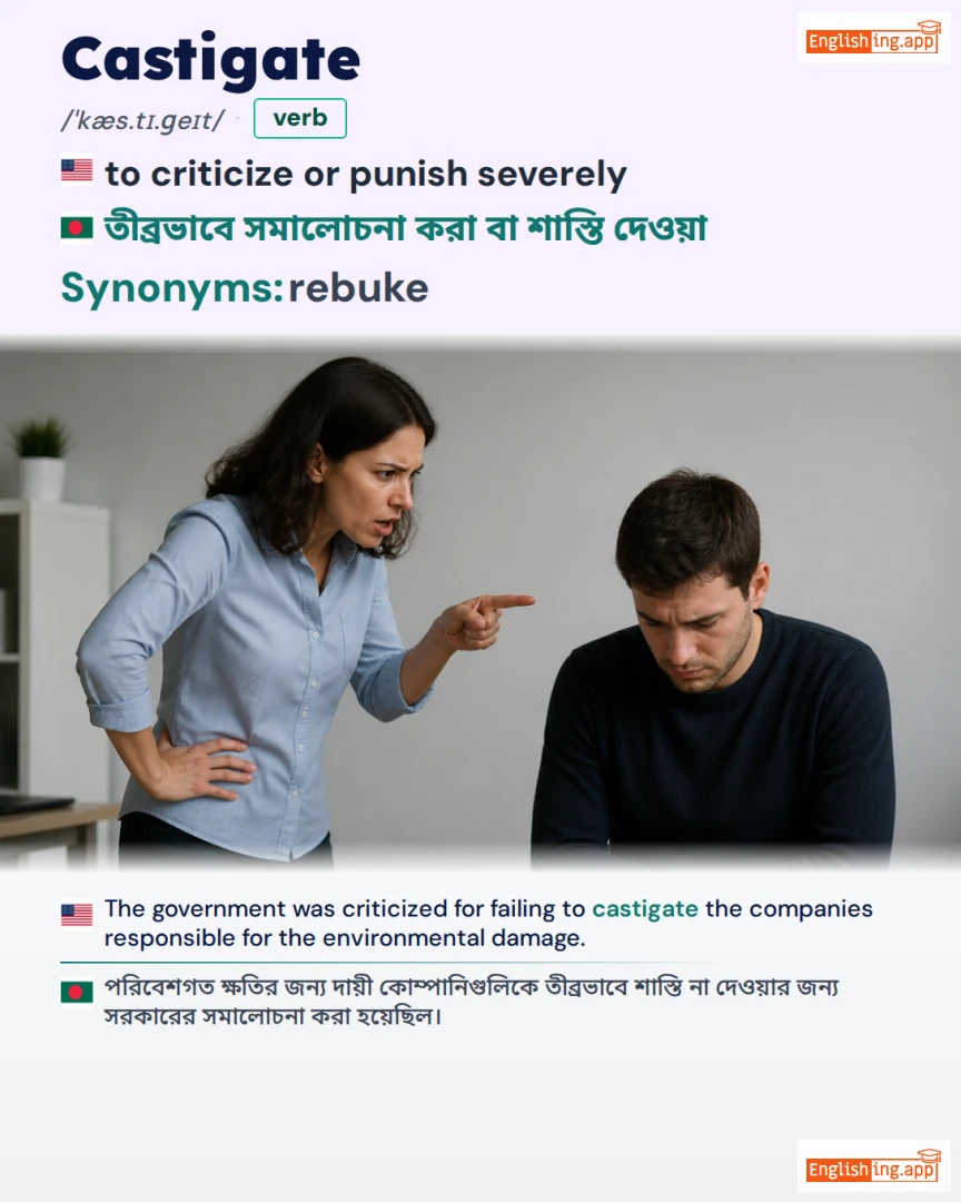 Castigate: English vocabulary meaning and example