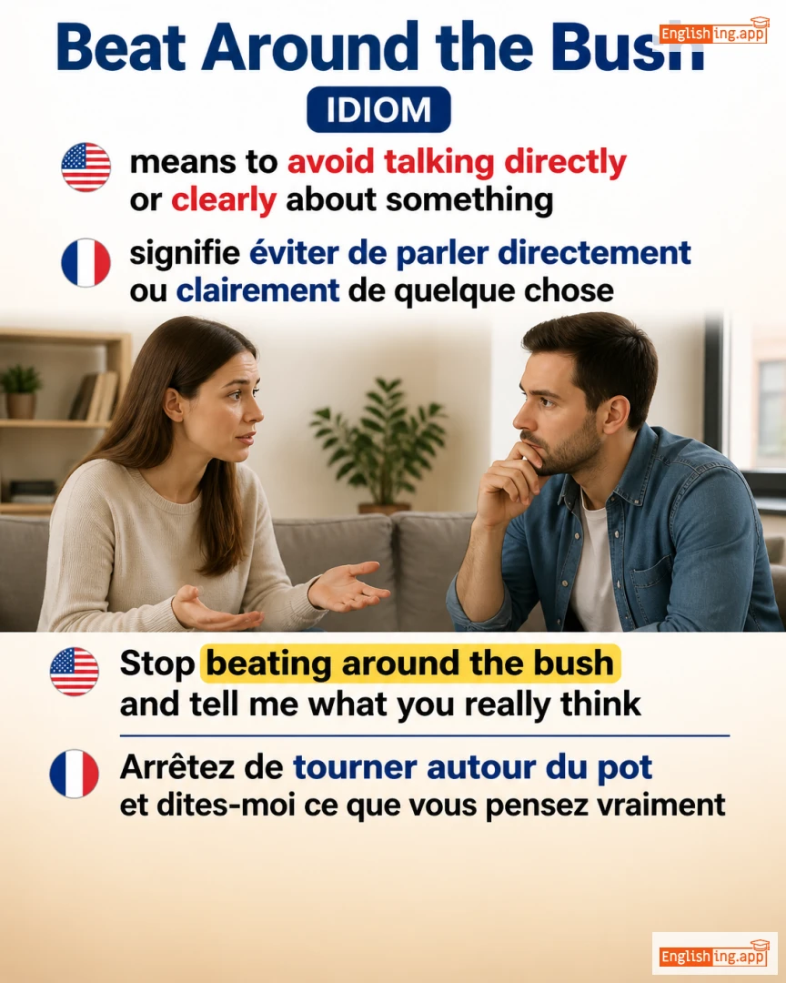 Beat Around The Bush: English expression meaning and example