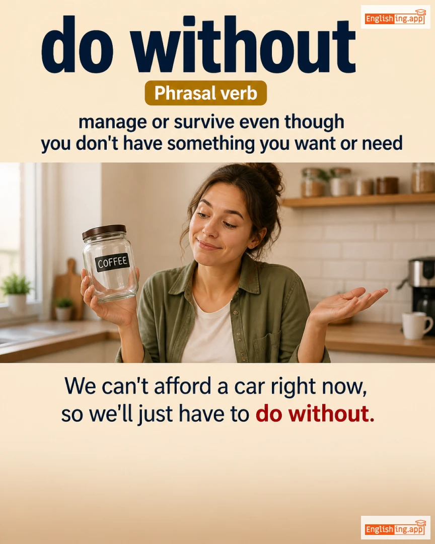 Do Without: English expression meaning and example