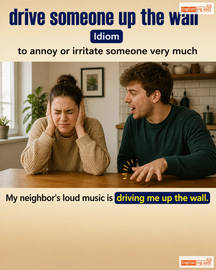 Drive Someone Up The Wall: English expression meaning and example