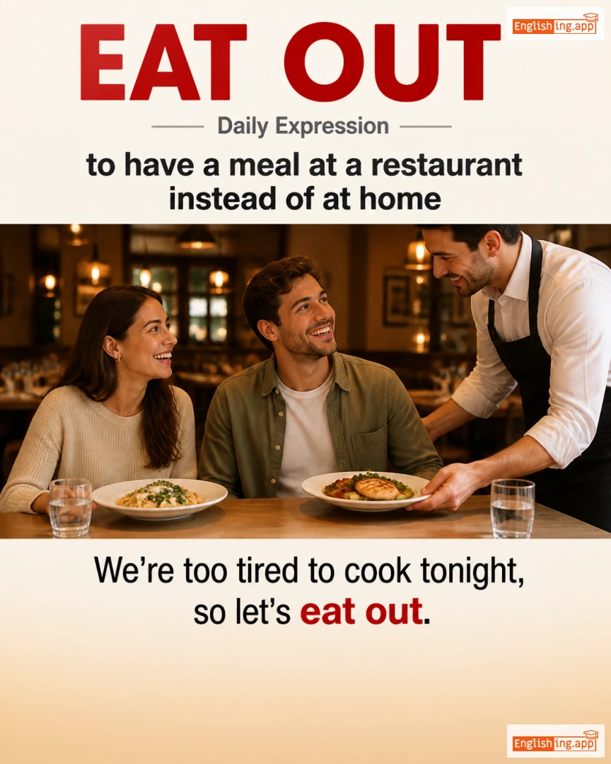 Eat Out: English expression meaning and example