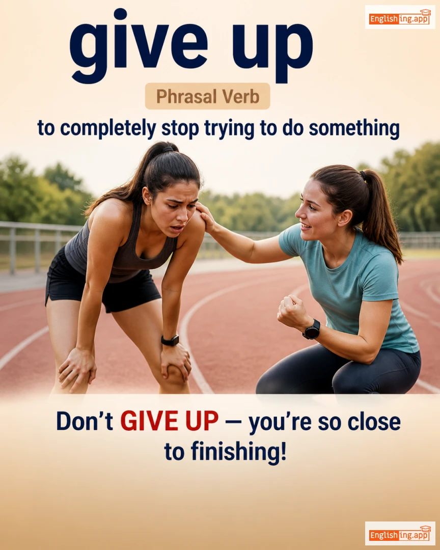 Give Up: English expression meaning and example