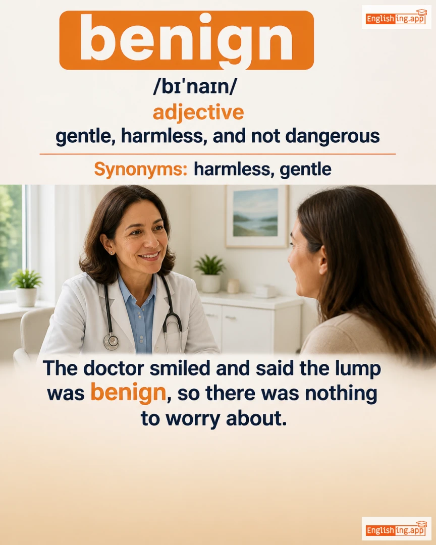 Benign: English vocabulary meaning and example