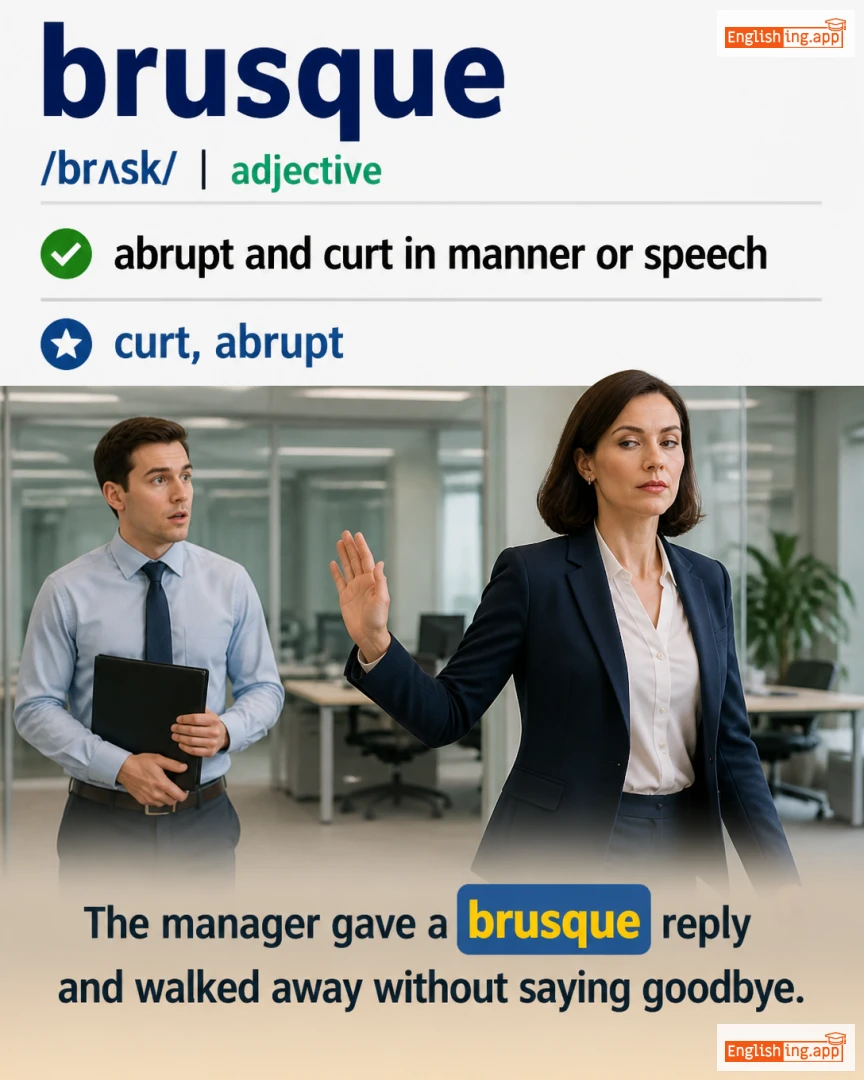 Brusque: English vocabulary meaning and example