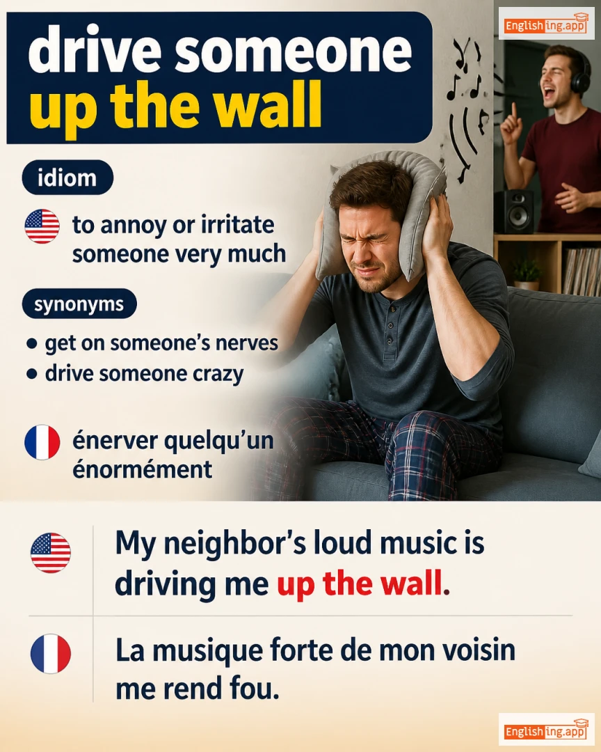 Drive Someone Up The Wall: English expression meaning and example