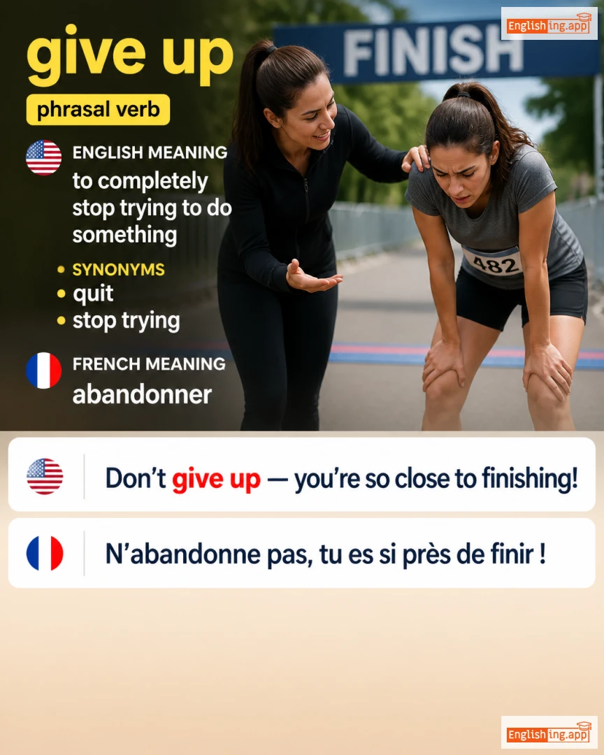 Give Up: English expression meaning and example