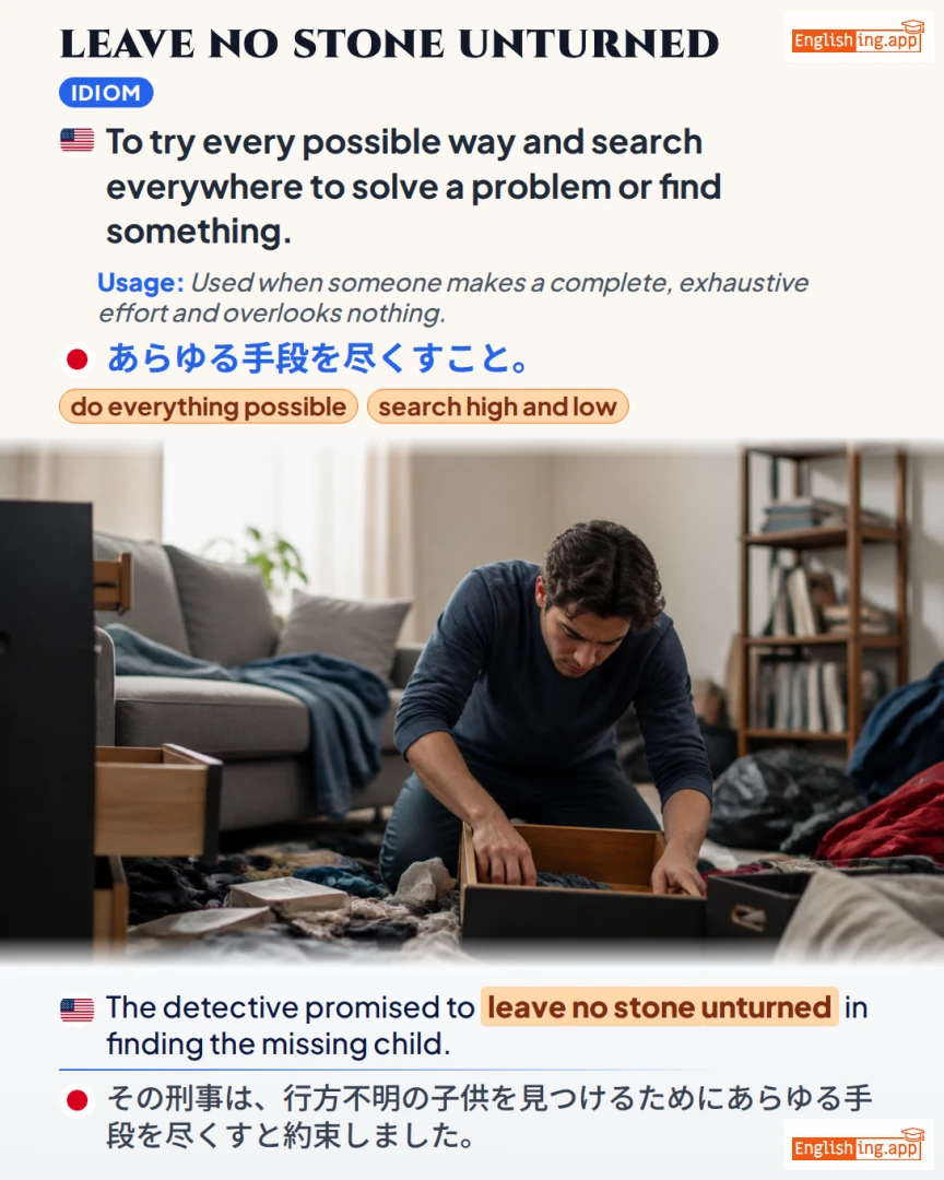 Leave No Stone Unturned: English expression meaning and example