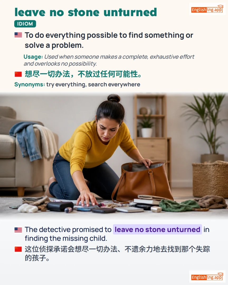 Leave No Stone Unturned: English expression meaning and example