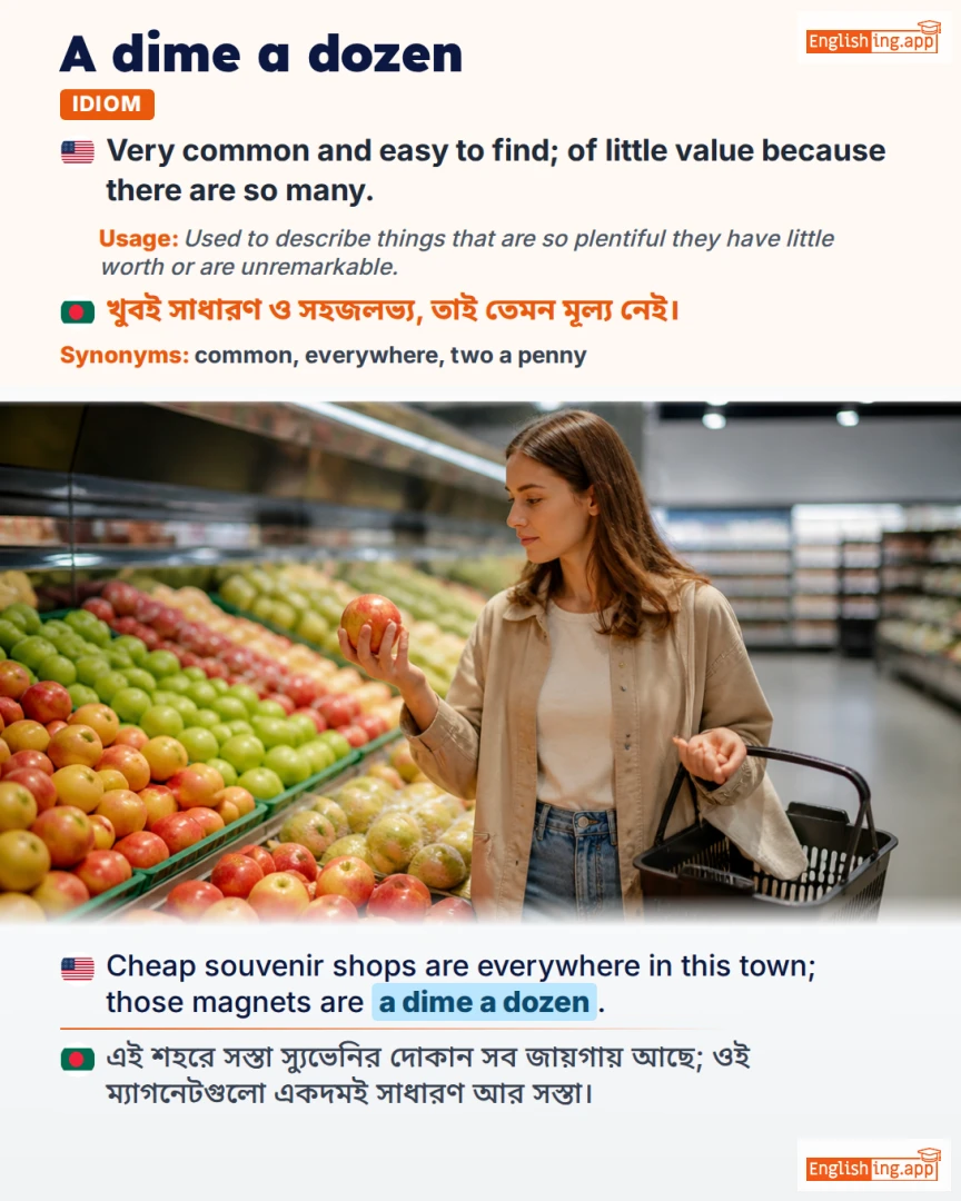 A Dime A Dozen: English expression meaning and example