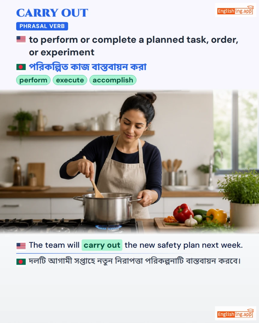 Carry Out: English expression meaning and example