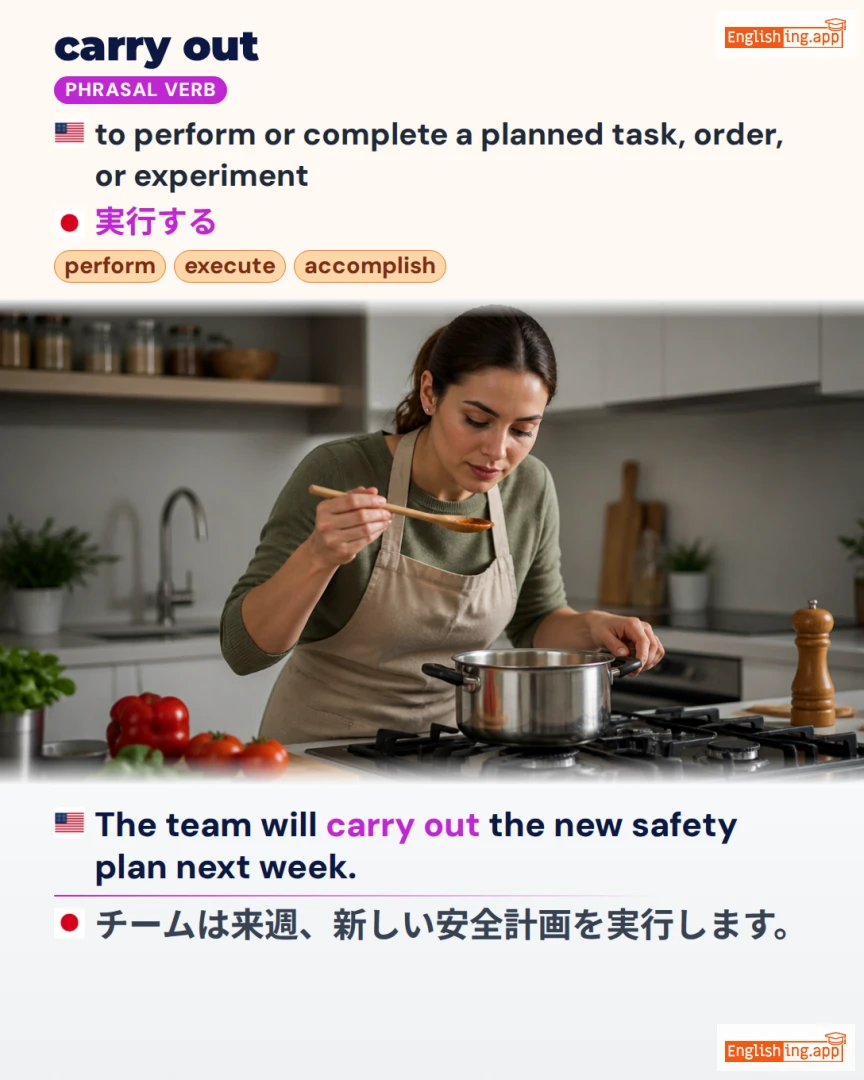 Carry Out: English expression meaning and example