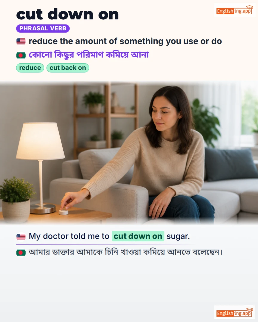 Cut Down On: English expression meaning and example