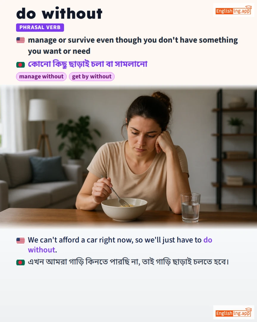 Do Without: English expression meaning and example