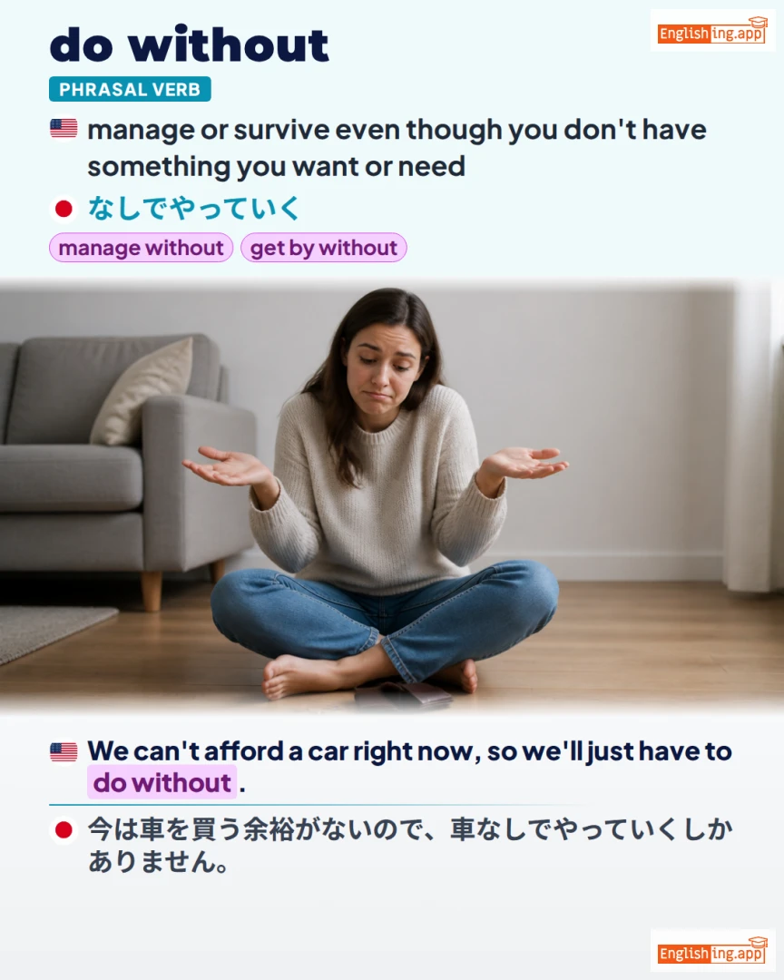 Do Without: English expression meaning and example