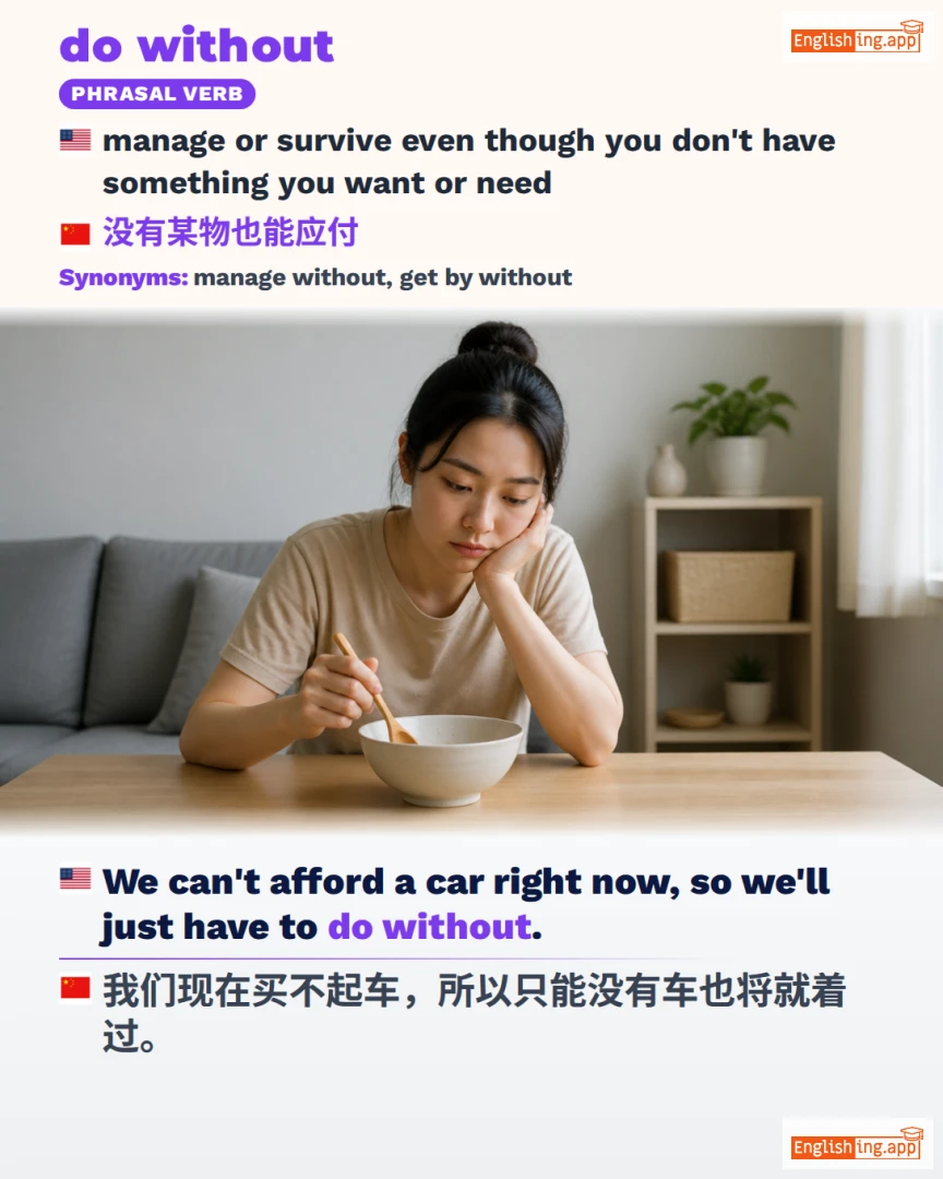 Do Without: English expression meaning and example
