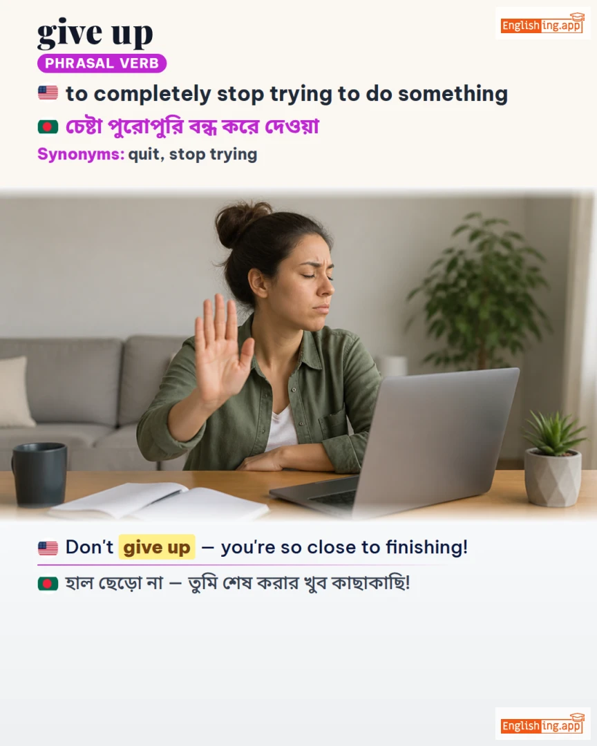 Give Up: English expression meaning and example