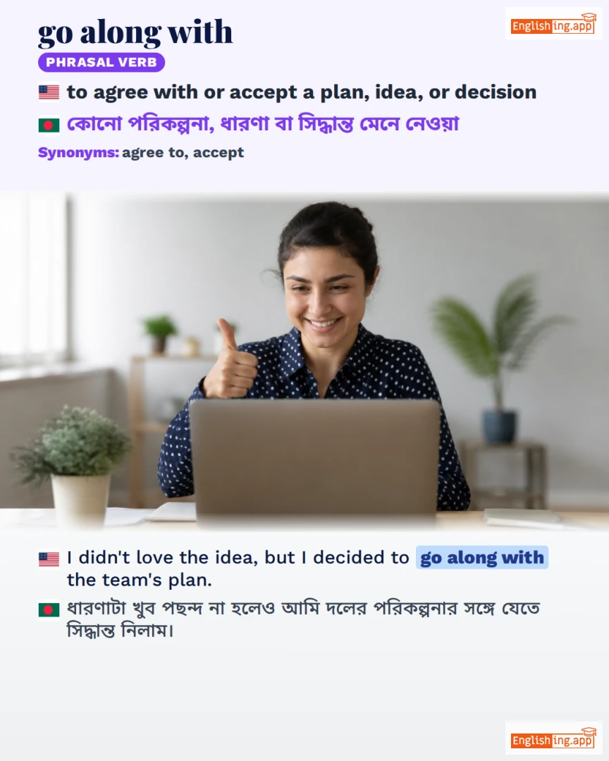 Go Along With: English expression meaning and example
