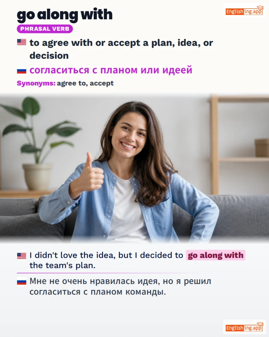 Go Along With: English expression meaning and example