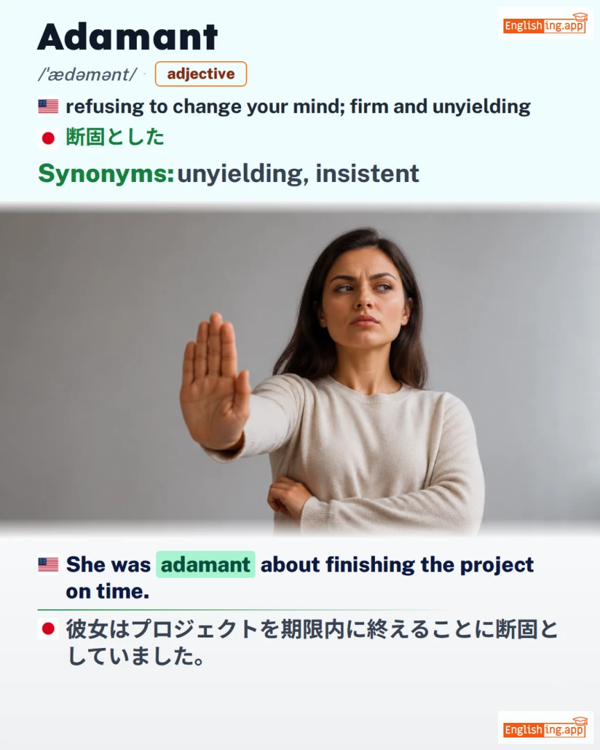 Adamant: English vocabulary meaning and example