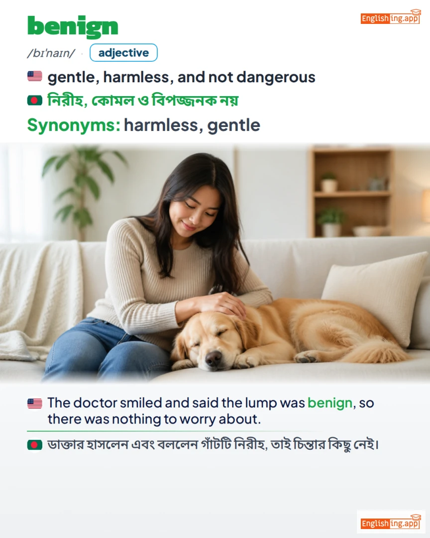 Benign: English vocabulary meaning and example