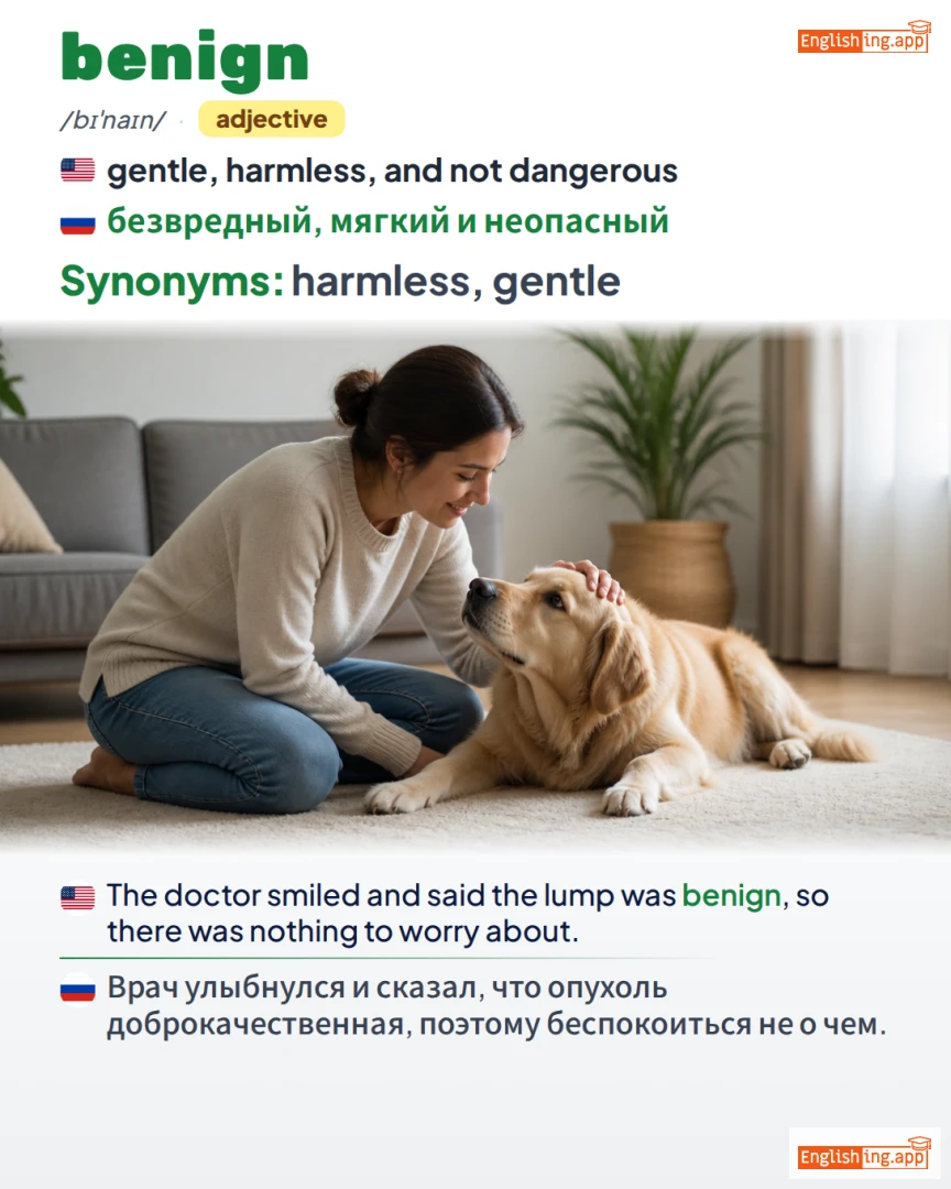 Benign: English vocabulary meaning and example